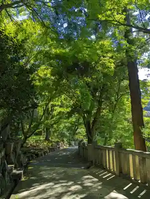 柳谷観音　楊谷寺(京都府)