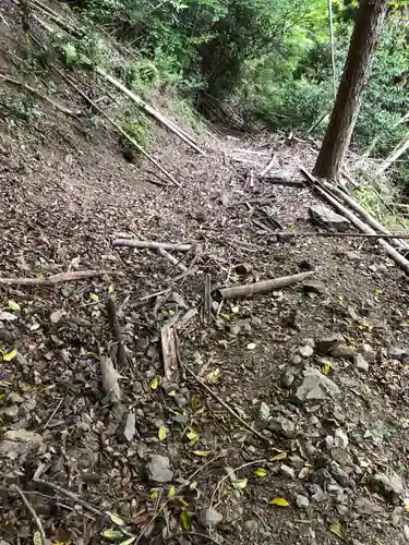 石井神社の自然