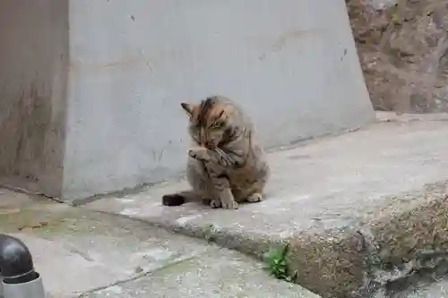 光明寺(広島県)