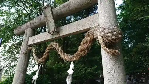 下野 星宮神社の鳥居