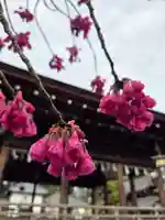 沙沙貴神社(滋賀県)