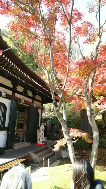 長谷寺のその他建物