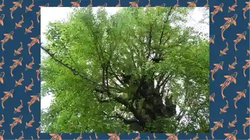 飛木稲荷神社(東京都)