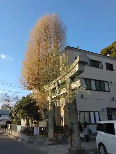 根岸八幡神社(神奈川県)