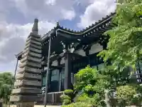 大音寺の{uncategorized: "未分類", other: "その他", undefined: "問題あり", building: "その他建物", grave: "お墓", sacred_gate: "鳥居", guardian: "狛犬", statue: "像", buddha: "仏像", history: "歴史", nature: "自然", garden: "庭園", animal: "動物", pagoda: "塔", temizu: "手水舎", mountain_gate: "山門・神門", sanctuary: "本殿・本堂", subordinate: "末社・摂社", art: "芸術", scenery: "景色", jizo: "地蔵", ema: "絵馬", goshuin: "御朱印", omikuji: "おみくじ", items: "授与品その他", amulet: "お守り", goshuincho: "御朱印帳", eats: "食事", festival: "お祭り", votive_dance: "神楽", shichigosan: "七五三参", wedding: "結婚式", experience: "体験その他", initially: "初詣", around: "周辺", anti_infection: "感染症対策"}