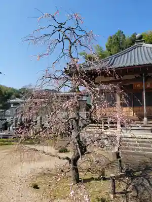 雲門寺(京都府)