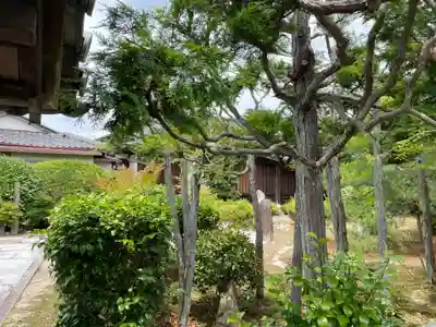 清賢院(京都府)
