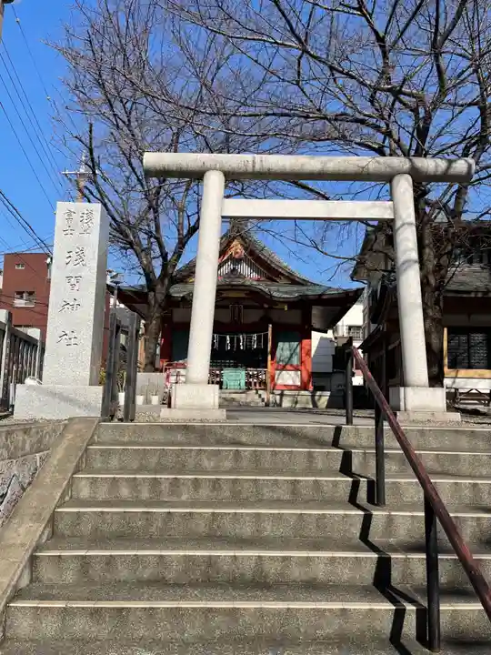 浅草富士浅間神社の鳥居