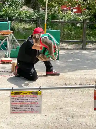 太宰府天満宮の{uncategorized: "未分類", other: "その他", undefined: "問題あり", building: "その他建物", grave: "お墓", sacred_gate: "鳥居", guardian: "狛犬", statue: "像", buddha: "仏像", history: "歴史", nature: "自然", garden: "庭園", animal: "動物", pagoda: "塔", temizu: "手水舎", mountain_gate: "山門・神門", sanctuary: "本殿・本堂", subordinate: "末社・摂社", art: "芸術", scenery: "景色", jizo: "地蔵", ema: "絵馬", goshuin: "御朱印", omikuji: "おみくじ", items: "授与品その他", amulet: "お守り", goshuincho: "御朱印帳", eats: "食事", festival: "お祭り", votive_dance: "神楽", shichigosan: "七五三参", wedding: "結婚式", experience: "体験その他", initially: "初詣", around: "周辺", anti_infection: "感染症対策"}