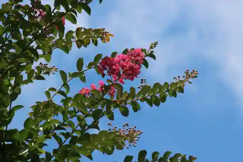 国宝 大法寺の自然