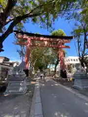 武蔵一宮氷川神社(埼玉県)