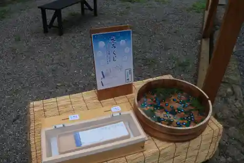 土津神社｜こどもと出世の神さまのおみくじ