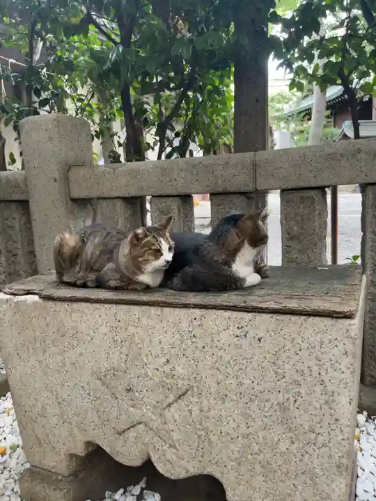小野照崎神社(東京都)