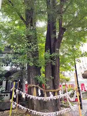 日本橋日枝神社(東京都)