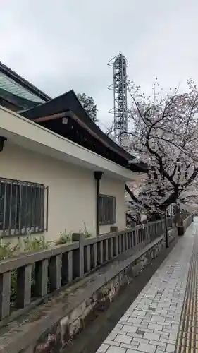 天孫神社(滋賀県)