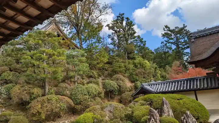光明寺(粟生光明寺)(京都府)