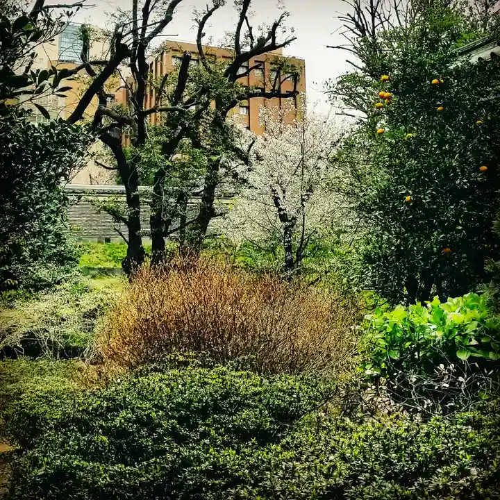 湯島聖堂の自然