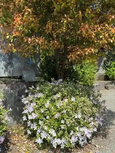 今市報徳二宮神社(栃木県)
