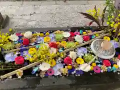 札幌護國神社(北海道)