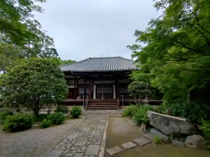 白毫寺の{uncategorized: "未分類", other: "その他", undefined: "問題あり", building: "その他建物", grave: "お墓", sacred_gate: "鳥居", guardian: "狛犬", statue: "像", buddha: "仏像", history: "歴史", nature: "自然", garden: "庭園", animal: "動物", pagoda: "塔", temizu: "手水舎", mountain_gate: "山門・神門", sanctuary: "本殿・本堂", subordinate: "末社・摂社", art: "芸術", scenery: "景色", jizo: "地蔵", ema: "絵馬", goshuin: "御朱印", omikuji: "おみくじ", items: "授与品その他", amulet: "お守り", goshuincho: "御朱印帳", eats: "食事", festival: "お祭り", votive_dance: "神楽", shichigosan: "七五三参", wedding: "結婚式", experience: "体験その他", initially: "初詣", around: "周辺", anti_infection: "感染症対策"}
