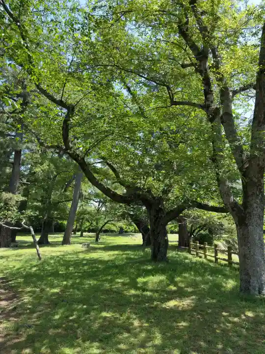 出雲大社(島根県)