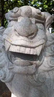 新琴似神社の狛犬