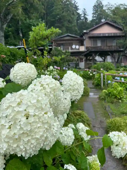 極楽寺(静岡県)