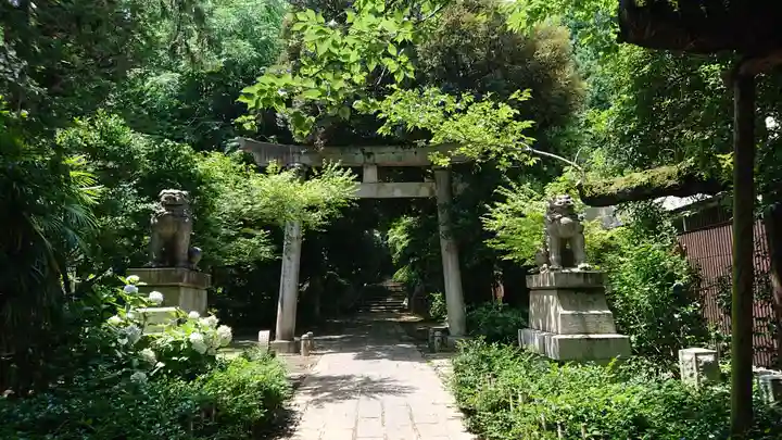 赤坂氷川神社の鳥居