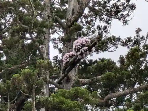 瑞巌寺(宮城県)