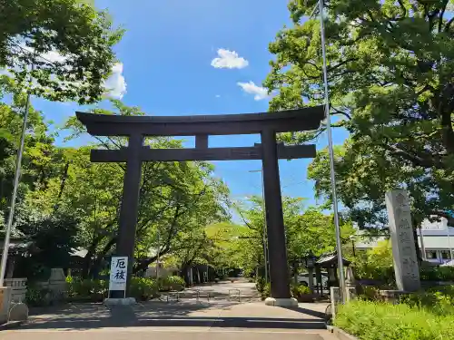 愛知縣護國神社の鳥居