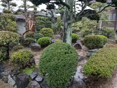 東光寺の{uncategorized: "未分類", other: "その他", undefined: "問題あり", building: "その他建物", grave: "お墓", sacred_gate: "鳥居", guardian: "狛犬", statue: "像", buddha: "仏像", history: "歴史", nature: "自然", garden: "庭園", animal: "動物", pagoda: "塔", temizu: "手水舎", mountain_gate: "山門・神門", sanctuary: "本殿・本堂", subordinate: "末社・摂社", art: "芸術", scenery: "景色", jizo: "地蔵", ema: "絵馬", goshuin: "御朱印", omikuji: "おみくじ", items: "授与品その他", amulet: "お守り", goshuincho: "御朱印帳", eats: "食事", festival: "お祭り", votive_dance: "神楽", shichigosan: "七五三参", wedding: "結婚式", experience: "体験その他", initially: "初詣", around: "周辺", anti_infection: "感染症対策"}