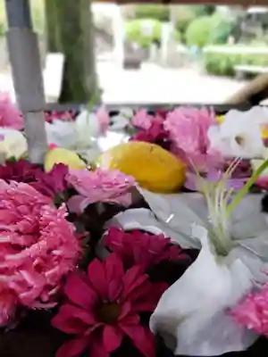 鳩森八幡神社の手水舎