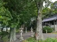 白山比咩神社の{uncategorized: "未分類", other: "その他", undefined: "問題あり", building: "その他建物", grave: "お墓", sacred_gate: "鳥居", guardian: "狛犬", statue: "像", buddha: "仏像", history: "歴史", nature: "自然", garden: "庭園", animal: "動物", pagoda: "塔", temizu: "手水舎", mountain_gate: "山門・神門", sanctuary: "本殿・本堂", subordinate: "末社・摂社", art: "芸術", scenery: "景色", jizo: "地蔵", ema: "絵馬", goshuin: "御朱印", omikuji: "おみくじ", items: "授与品その他", amulet: "お守り", goshuincho: "御朱印帳", eats: "食事", festival: "お祭り", votive_dance: "神楽", shichigosan: "七五三参", wedding: "結婚式", experience: "体験その他", initially: "初詣", around: "周辺", anti_infection: "感染症対策"}