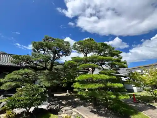 無量光寺(和歌山県)