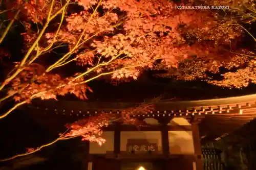 長谷寺(神奈川県)