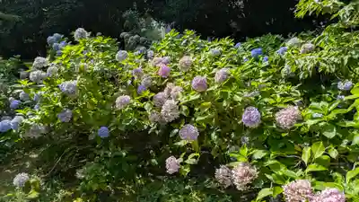  智積院(京都府)