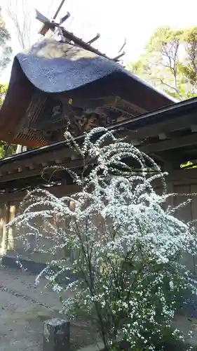 大洗磯前神社の本殿