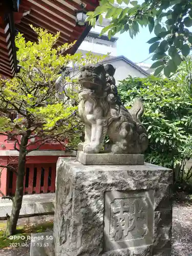 秋葉神社の狛犬