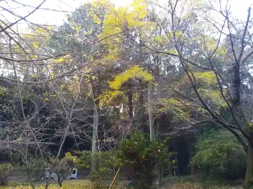 大生山延命院観世音寺の自然