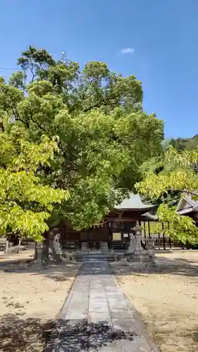 亀島神社の本殿