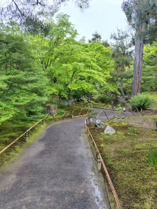 宝厳院(京都府)