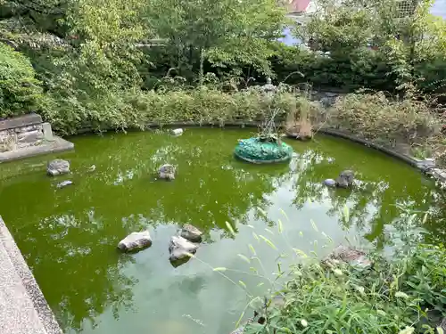 六孫王神社(京都府)