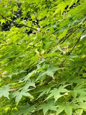 城南宮(京都府)