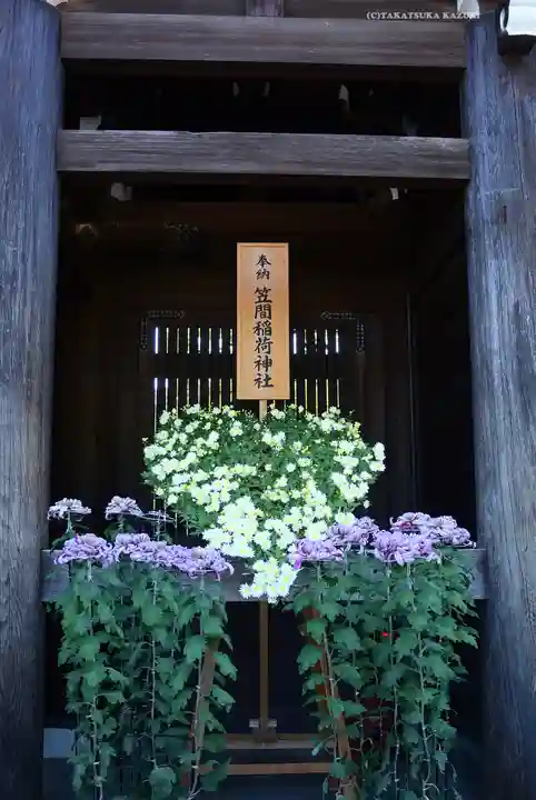 明治神宮(東京都)