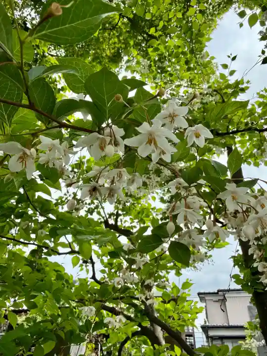 香福寺(神奈川県)