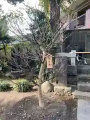 小野照崎神社(東京都)