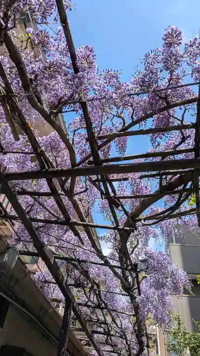 妙壽禅寺(妙寿寺)(大阪府)