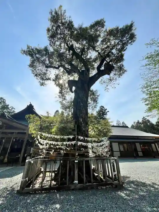 井伊谷宮(静岡県)