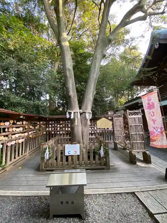 琴崎八幡宮の自然