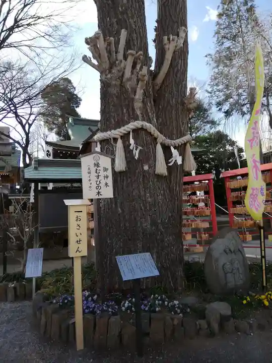 川越八幡宮(埼玉県)